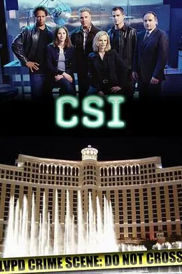 犯罪现场调查 第二季封面图