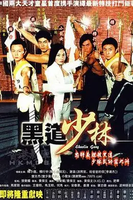 黑道少林封面图