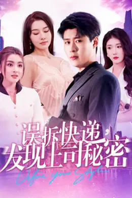 误拆快递，发现上司秘密海报图片