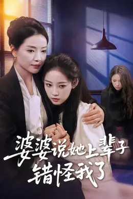 婆婆说她上辈子错怪我了海报图片