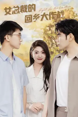 女总裁的回乡大作战海报图片