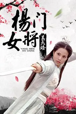 杨门女将之昊天塔封面图