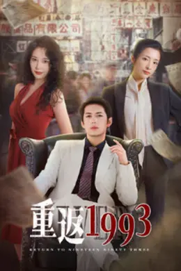 重返1993封面图