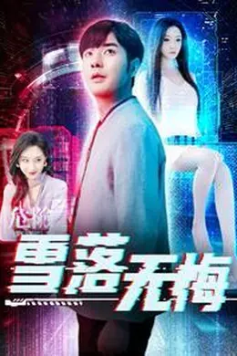 雪落无悔海报图片