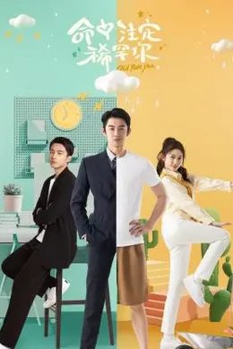 命中注定稀罕你封面图