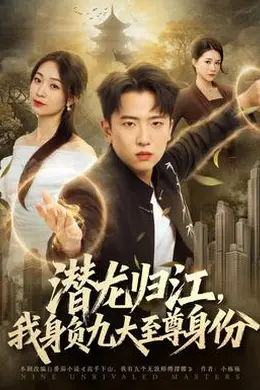潜龙归江，我身负九大至尊身份封面图