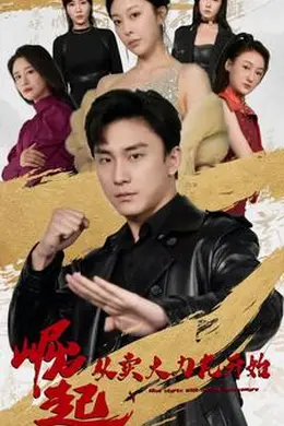 崛起从卖大力丸开始海报图片