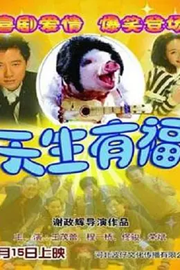 天生有福封面图