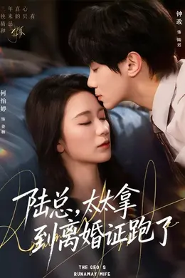 陆总，太太拿到离婚证跑了海报图片