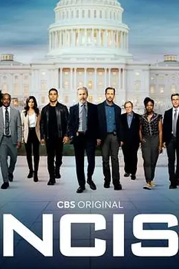 海军罪案调查处 第二十季封面图