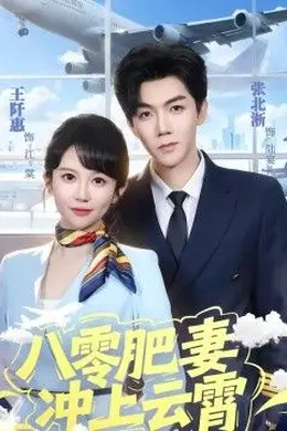 八零肥妻冲上云霄封面图
