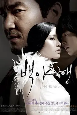 白夜行2009封面图