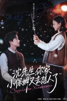 沈先生，你家小保姆又去怼人了封面图