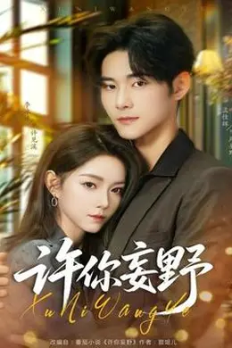 许你妄野封面图