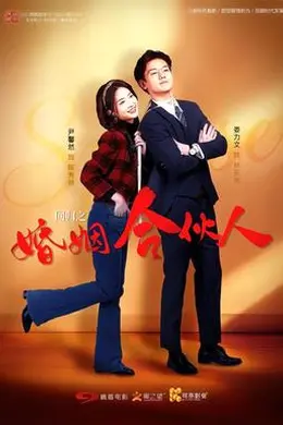 回归之婚姻合伙人海报图片
