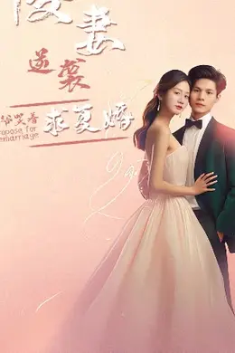 傻妻逆袭，秦爷哭着求复婚海报图片