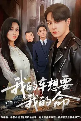 我的车想要我的命海报图片