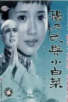 杨乃武与小白菜1990封面图