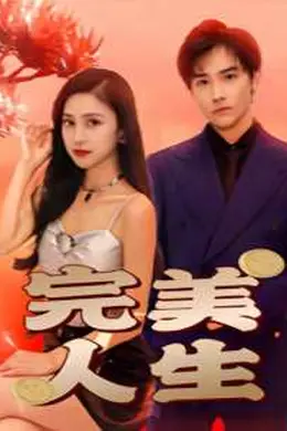 完美人生海报图片