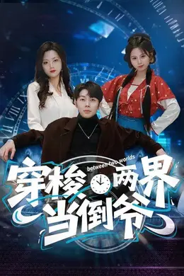 穿梭两界当倒爷海报图片