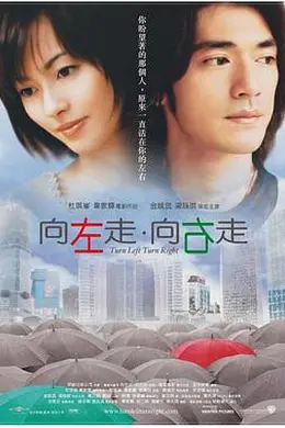 向左走向右走封面图