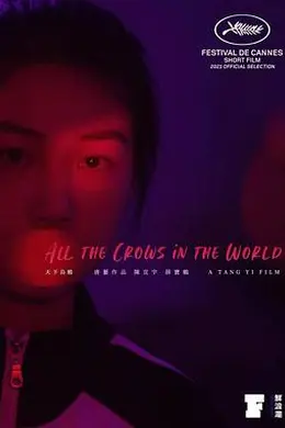 天下乌鸦封面图