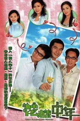 花样中年国语封面图