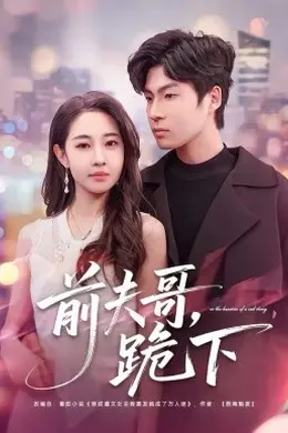 前夫哥，跪下海报图片