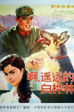 白桦林中的哨所封面图