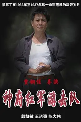 神府红军游击队封面图