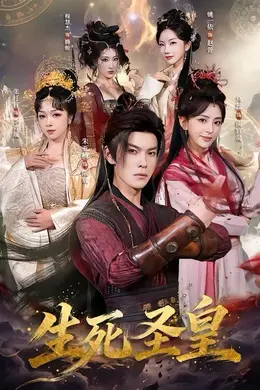 生死圣皇海报图片