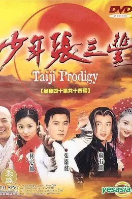 少年张三丰封面图