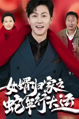 女婿归家之蛇年行大运海报图片