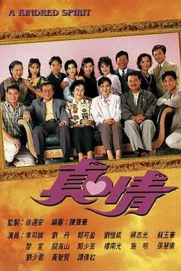 真情国语封面图