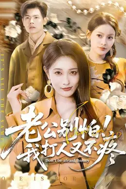 老公别怕！我打人又不疼海报图片