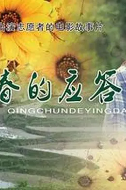 青春的应答封面图