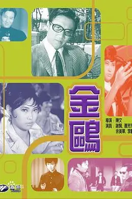 金鸥封面图