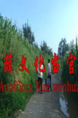 薛文化当官记封面图