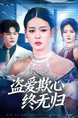 盗爱欺心终无归海报图片