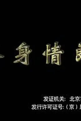 替身情郎封面图