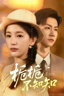 栀栀不知知海报图片