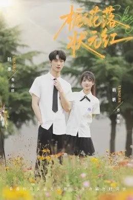 栀子花落状元红海报图片