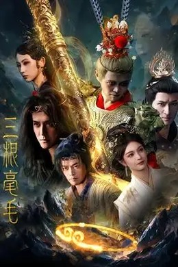 三根毫毛封面图