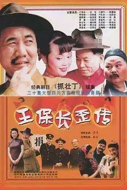 王保长歪传封面图