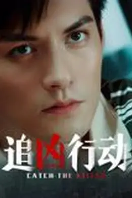 追凶行动封面图