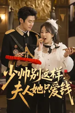 少帅别这样，夫人她只爱钱封面图