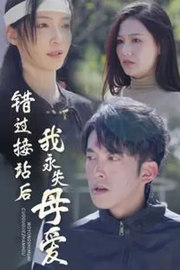 错过接站后我永失母爱海报图片