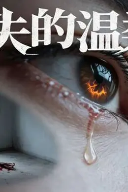 消失的温柔乡（AI短剧）海报图片