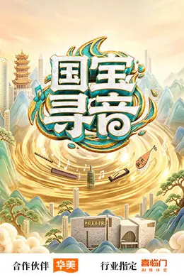 国宝寻音封面图
