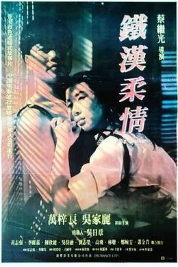 铁汉柔情封面图